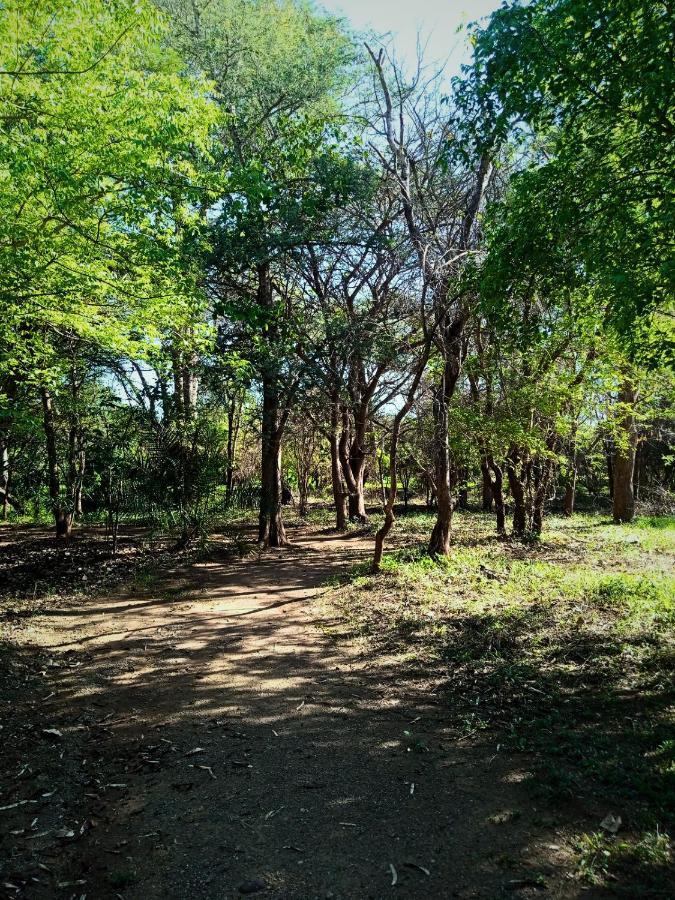 Munga Eco-Lodge Livingstone Eksteriør billede