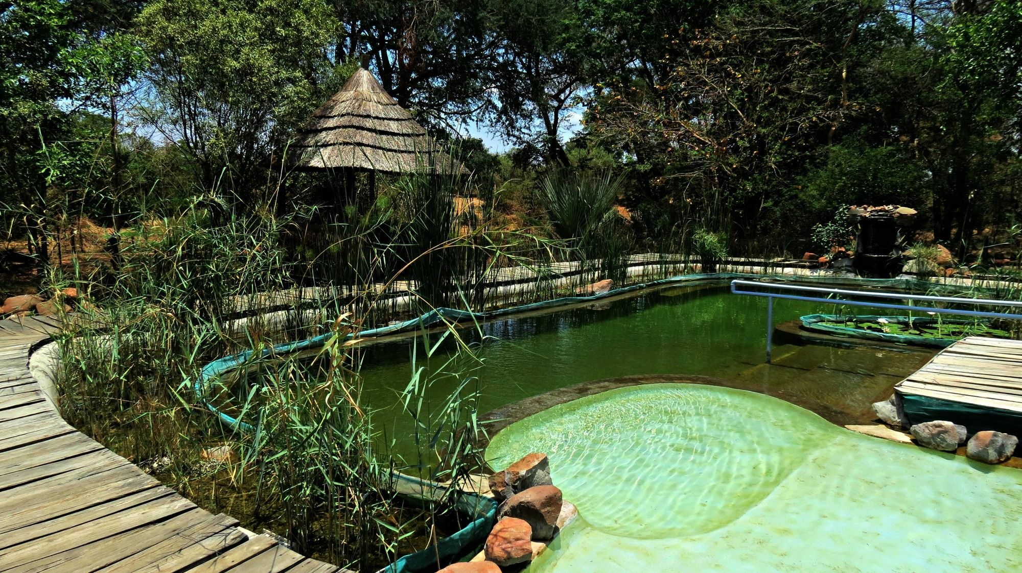 Munga Eco-Lodge Livingstone Eksteriør billede